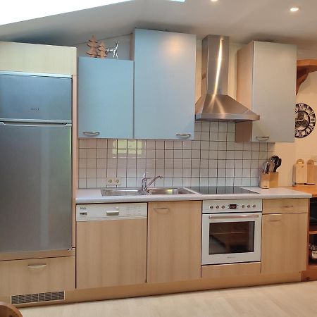 Appartement Haus Enzian à Mittersill Extérieur photo